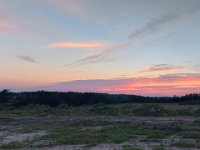 Orillia